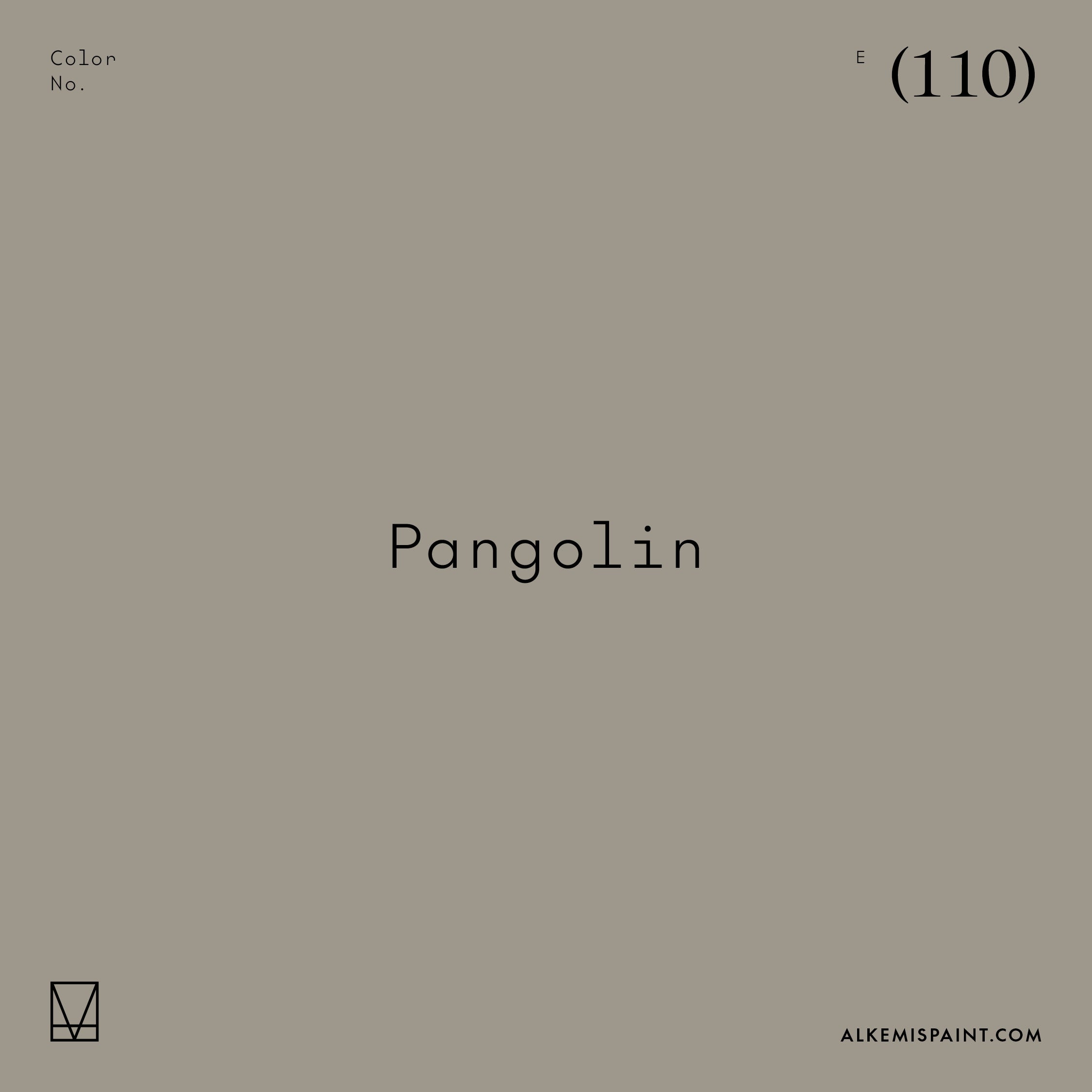 Pangolin (110) - Grey Mineral Paint