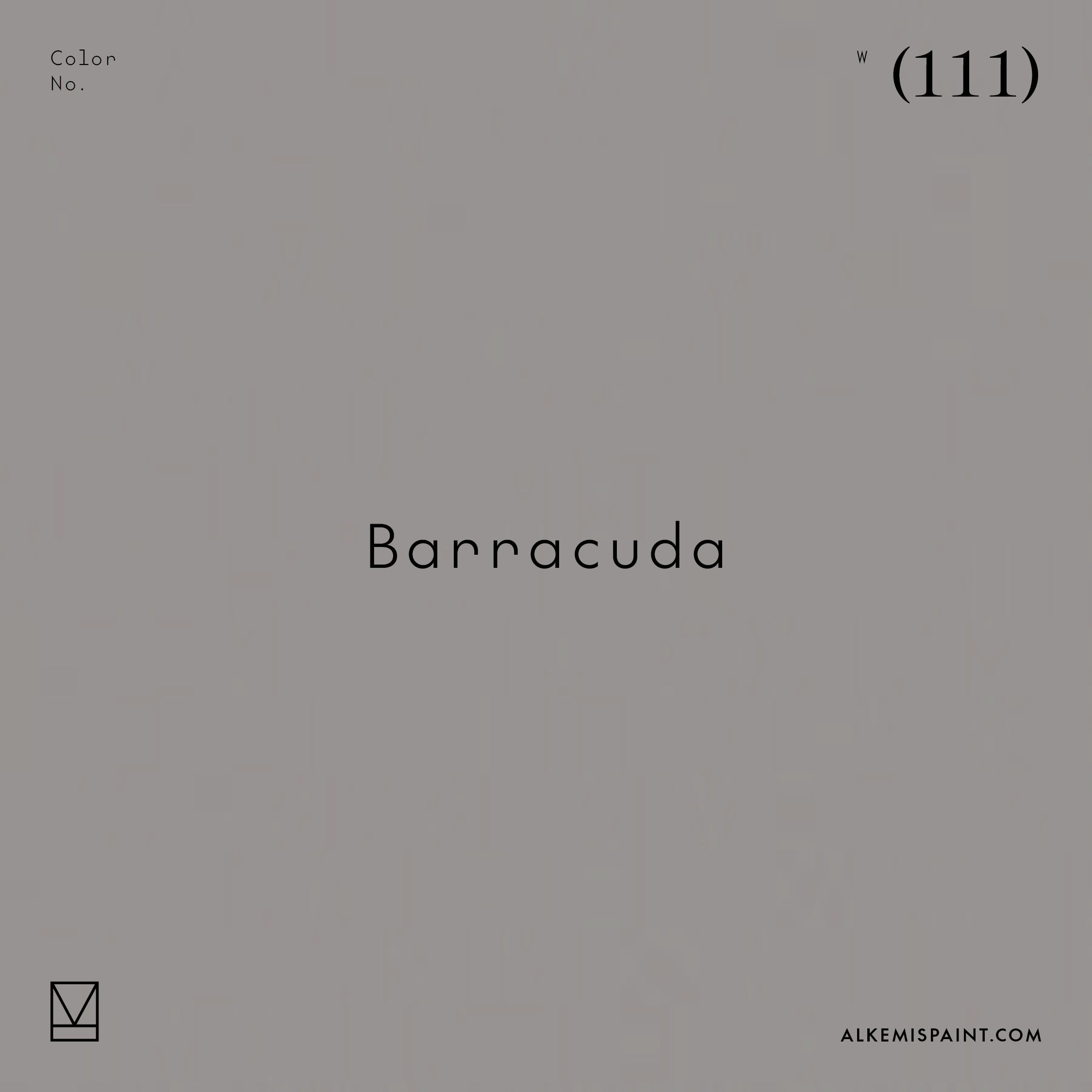 Barracuda (111) - Grey Mineral Paint