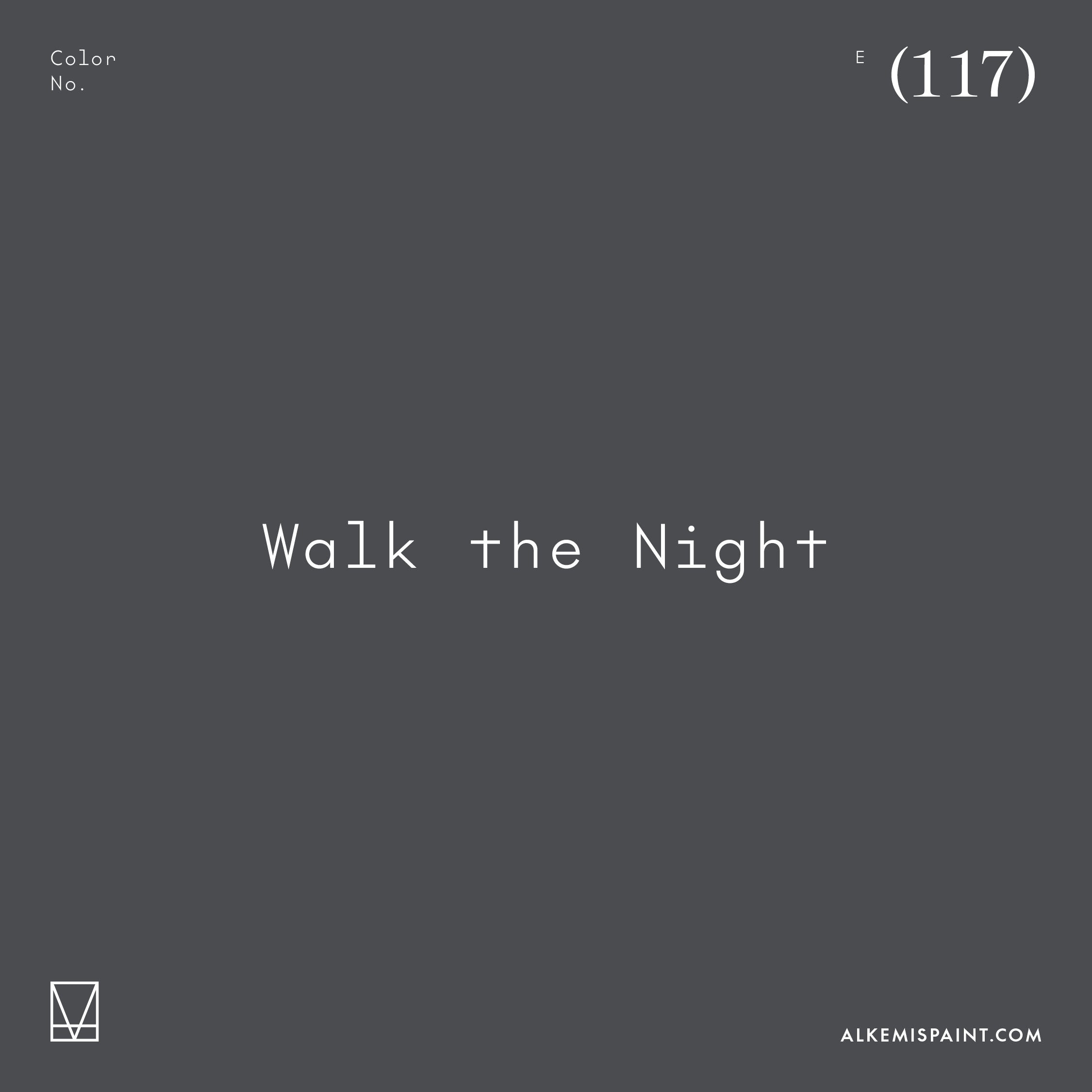 Walk the Night (117) Gray Mineral Paint