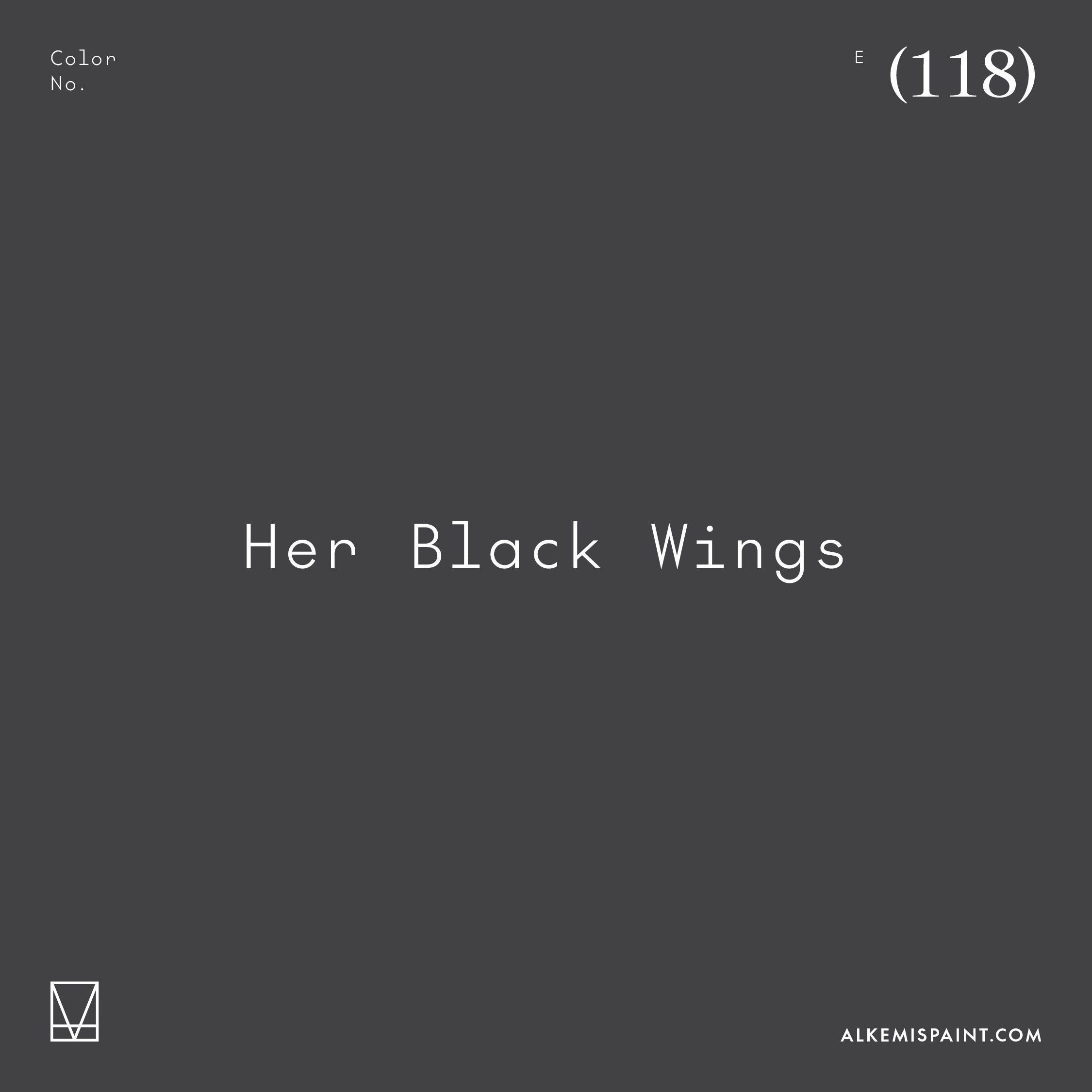 Her Black Wings (118) - Black Mineral Paint