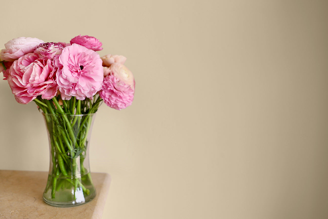 Abiquiu mineral paint for walls