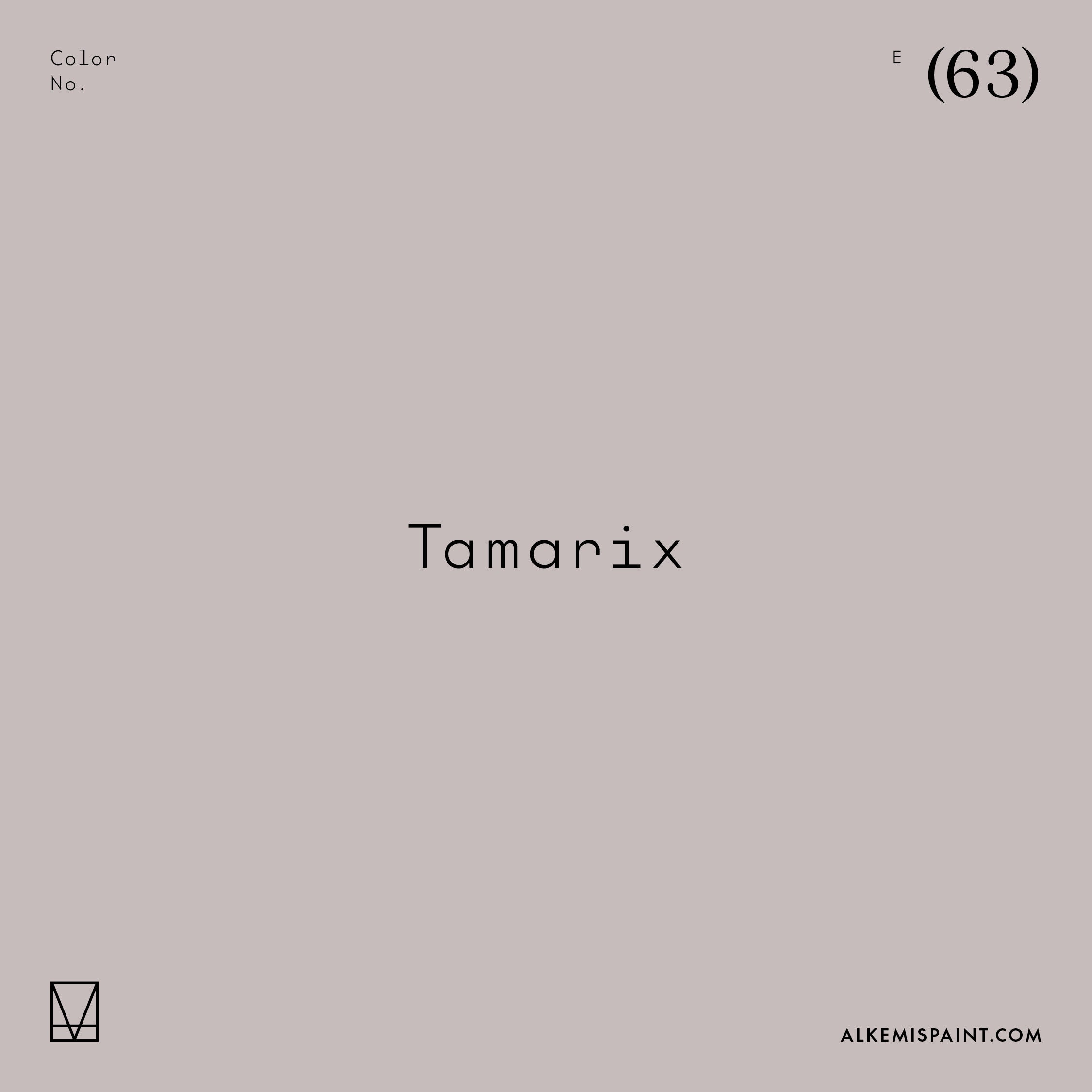 Tamarix (63)