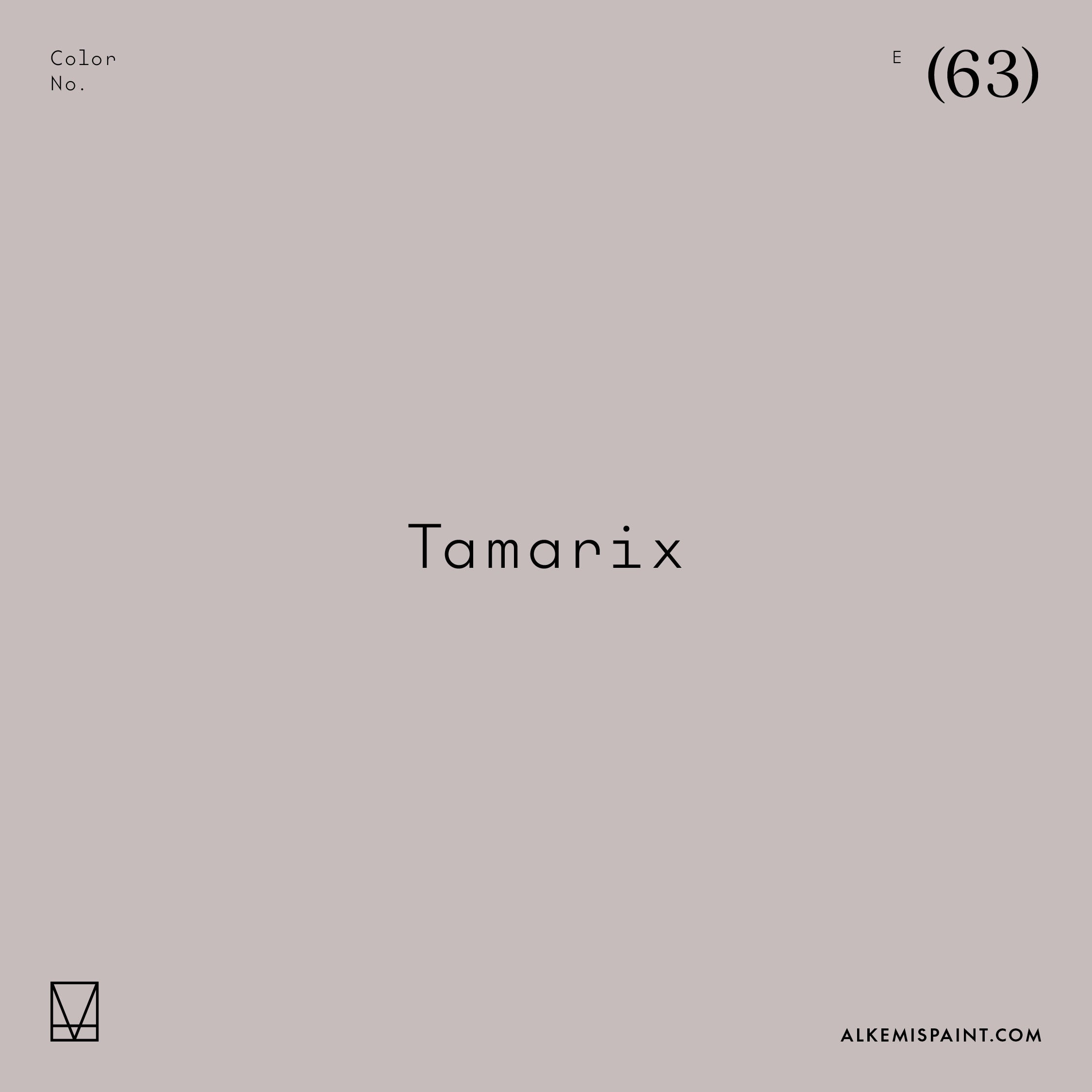 Tamarix (63) - Mauve Mineral Paint