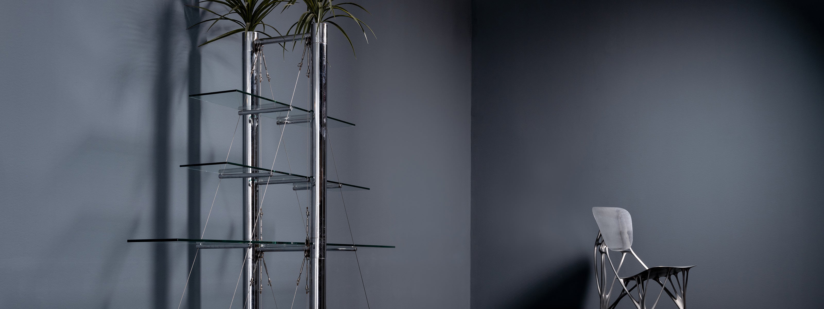 A minimalist interior with dark gray walls featuring a tall chrome and glass shelving unit with plants on top. To the right, a sculptural metallic chair with an intricate frame sits alone, creating a sleek, modern atmosphere.