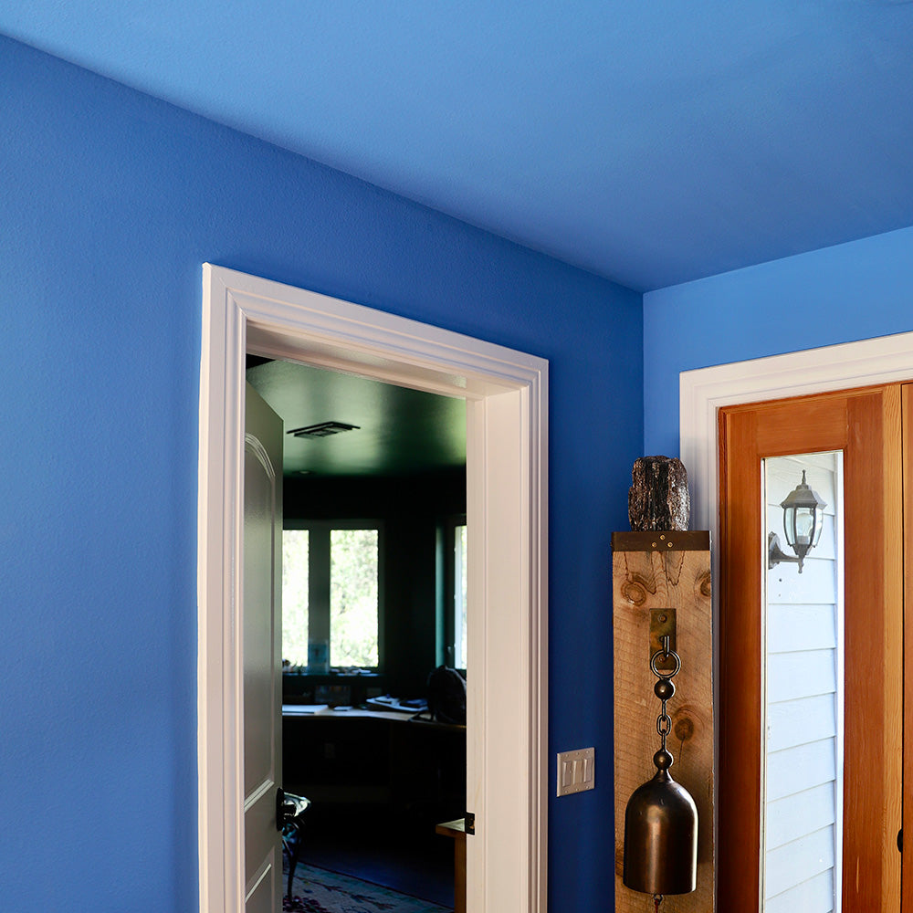 blue house walls