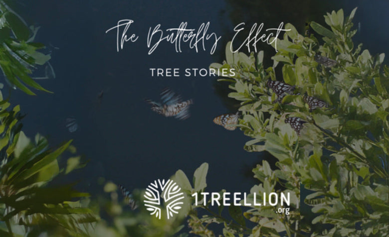 The Butterfly Effect - Podcast